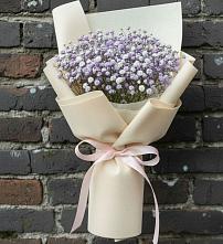 Букет цветов из:  Гипсофила #REPLACE_PRED# Красный Гуляй